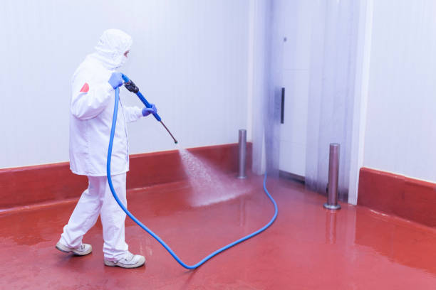 Best Sign and Awning Cleaning  in Westernport, MD